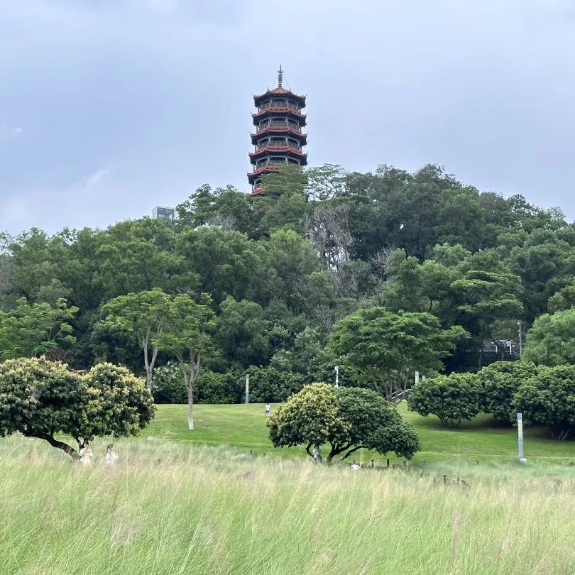 一镜到底:“规建营管”视角下的光明区公园专项规划 一镜到底:“规建营管”视角下的光明区公园专项规划