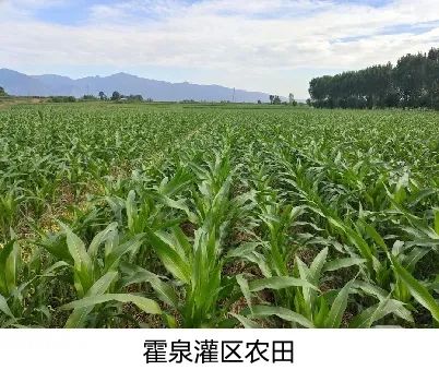 历史文化遗产协同保护的思考 历史文化遗产协同保护的思考