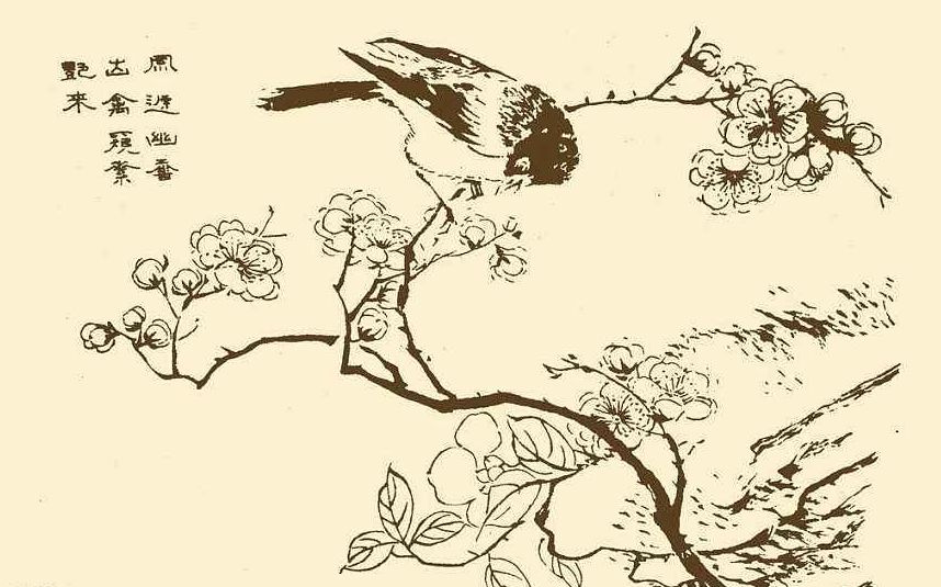 一部“芥子园”，阅尽三百年绘画史，美的惊叹！