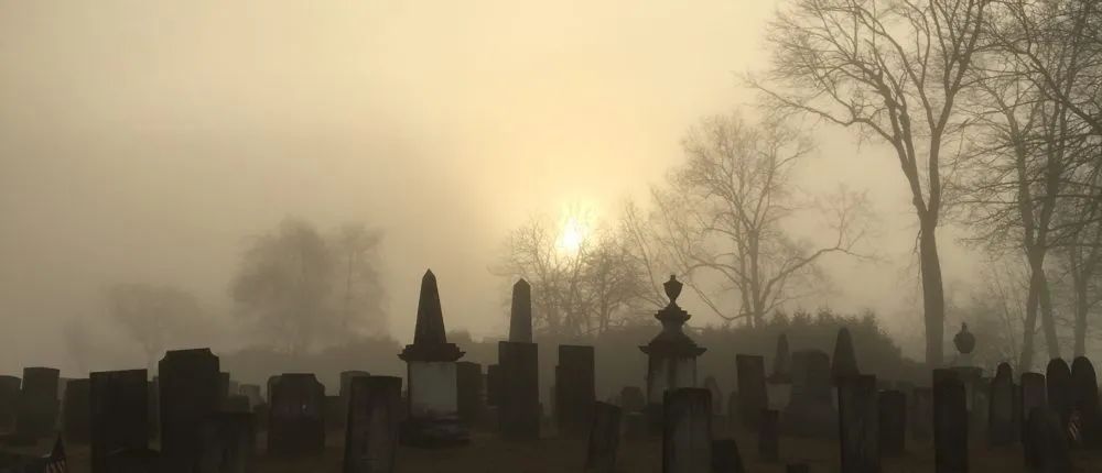 向死而生，未来的墓园会变成怎样？