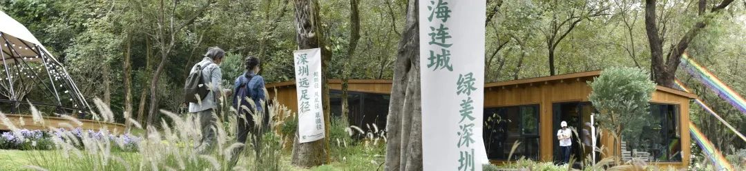 一镜到底:“规建营管”视角下的光明区公园专项规划 一镜到底:“规建营管”视角下的光明区公园专项规划