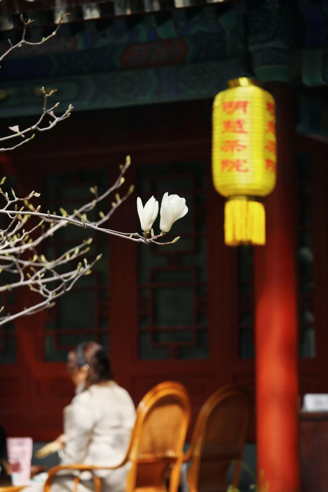 当春花遇上古建 | 在北京的这些地方,与春色撞个满怀 当春花遇上古建 | 在北京的这些地方,与春色撞个满怀