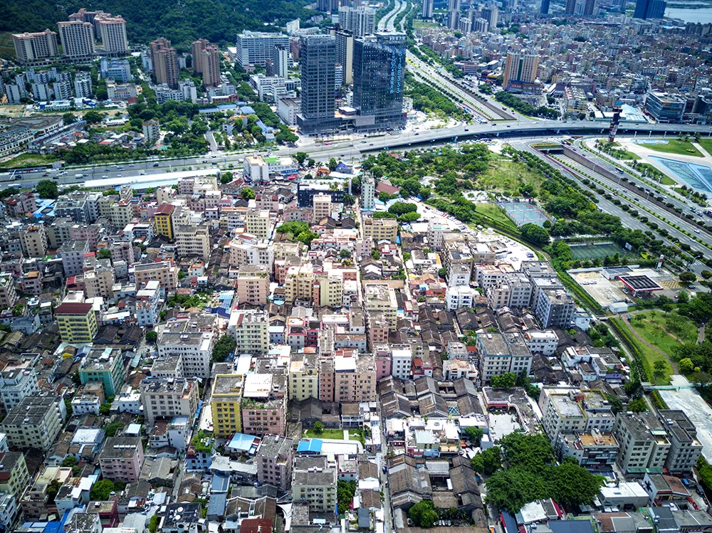 乡村振兴国际化范本，为何是北山村？