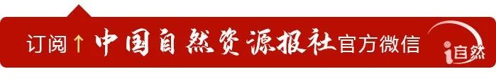 连环买卖不动产均未过户，能否直接转移登记至最后买受人 | 以案说法