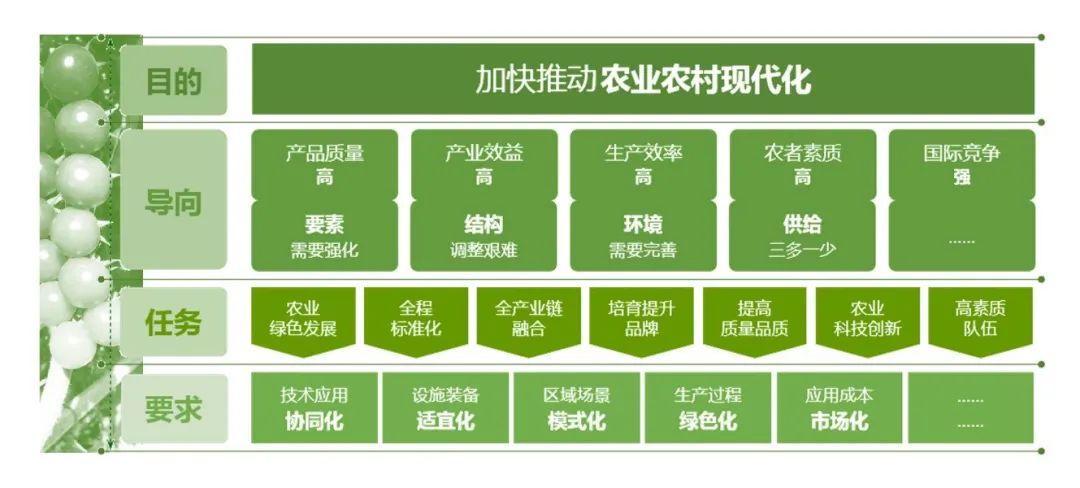 同衡学术·日新讲坛 | 齐飞:以现代方式推进农业现代化——现代设施种植业为例 同衡学术·日新讲坛 | 齐飞:以现代方式推进农业现代化——现代设施种植业为例