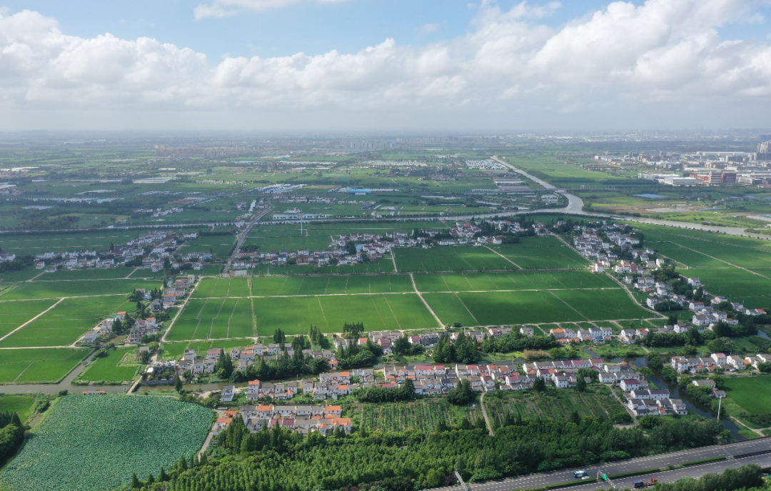 村庄规划 | 上海：从“挖掘识别”到“引导落实”——乡村空间设计全过程融合规划建设的探索实践