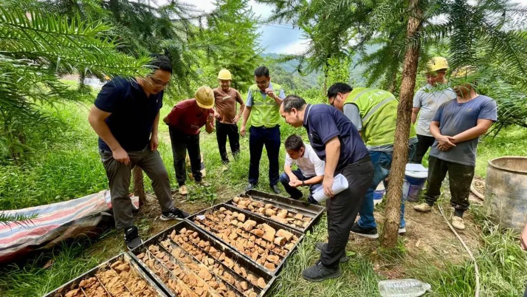 汛期雨纷纷!岩土专业夯实地灾预警“硬支撑”,实现全省村级地灾风险精准管控 汛期雨纷纷!岩土专业夯实地灾预警“硬支撑”,实现全省村级地灾风险精准管控