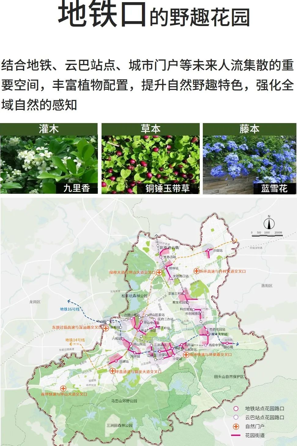 从自然向未来 ——深圳市坪山区公园城市建设规划 从自然向未来 ——深圳市坪山区公园城市建设规划