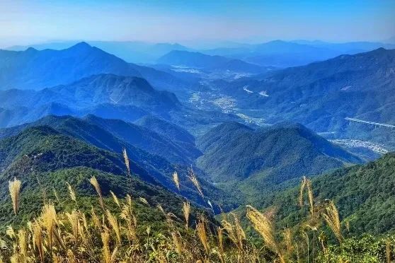 广州好行|一起“上春山”,数说广州山体公园 广州好行|一起“上春山”,数说广州山体公园