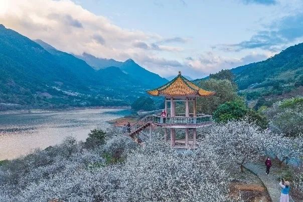 广州好行|一起“上春山”,数说广州山体公园 广州好行|一起“上春山”,数说广州山体公园