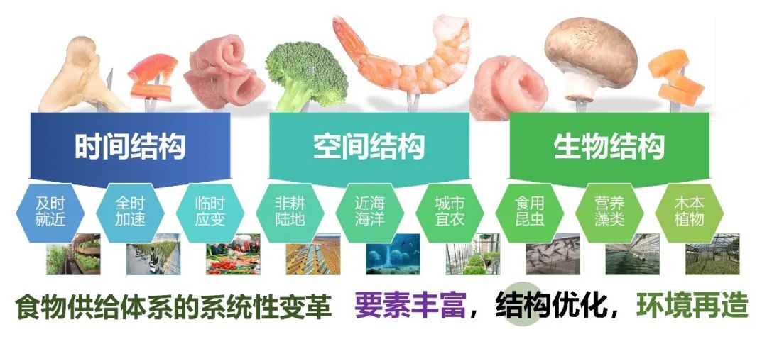 同衡学术·日新讲坛 | 齐飞:以现代方式推进农业现代化——现代设施种植业为例 同衡学术·日新讲坛 | 齐飞:以现代方式推进农业现代化——现代设施种植业为例