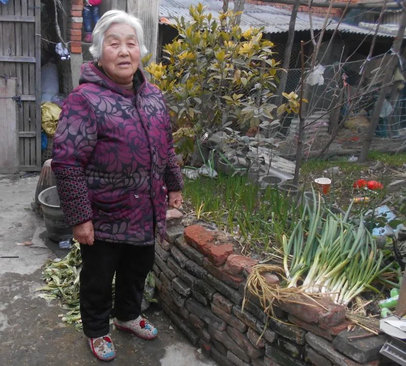 春节征集 | 农村老年人生活的正向场域——微观视角下的乡村观察 春节征集 | 农村老年人生活的正向场域——微观视角下的乡村观察