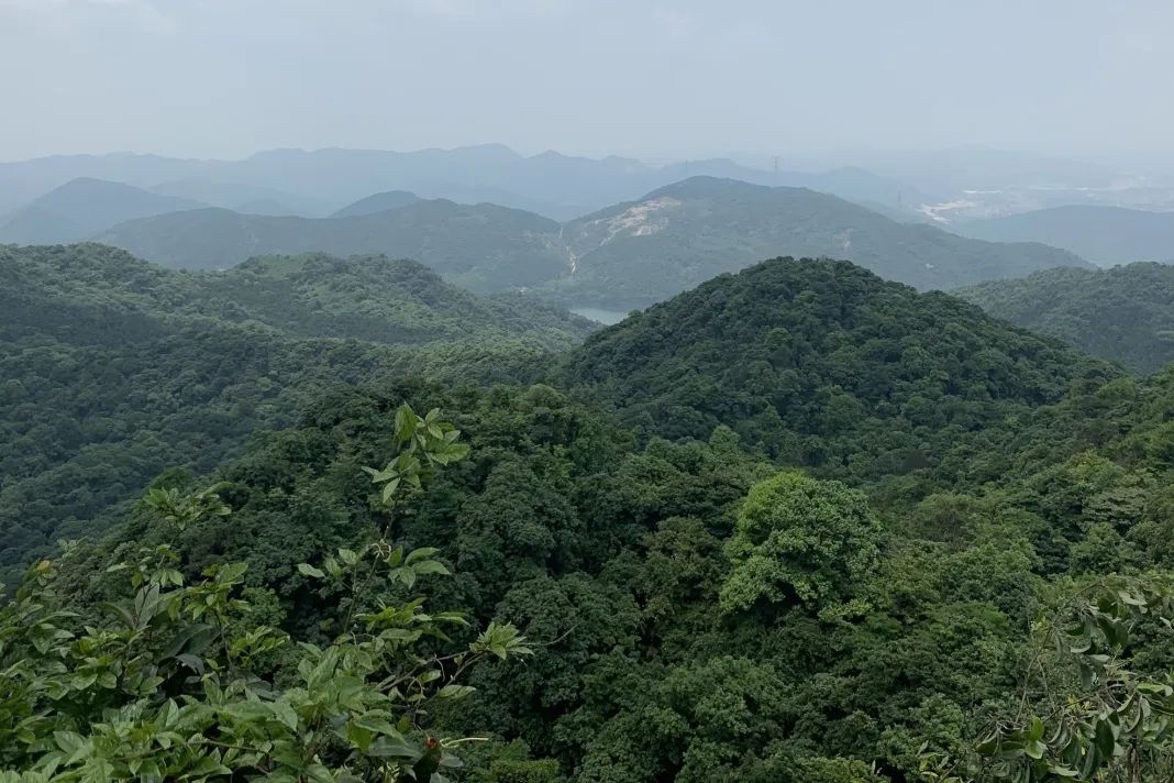 广州好行|一起“上春山”,数说广州山体公园 广州好行|一起“上春山”,数说广州山体公园