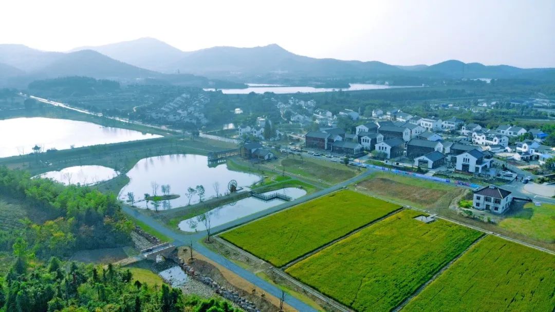 喜讯丨同济规划院组建乡村规划建设研究院 喜讯丨同济规划院组建乡村规划建设研究院