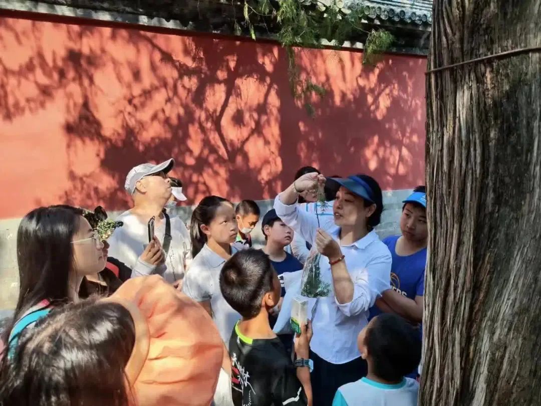 踏青游园,乐享春光!北京市属公园清明游园活动安排来了 踏青游园,乐享春光!北京市属公园清明游园活动安排来了