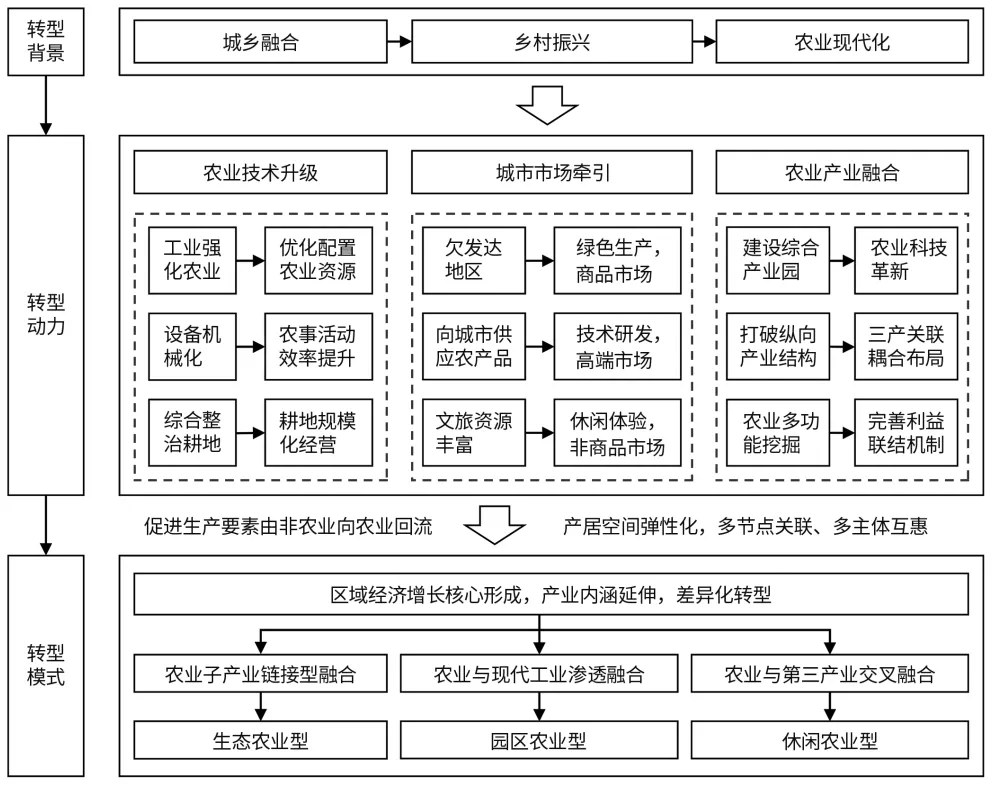 农业型乡村聚落不同转型模式的差异化空间重构