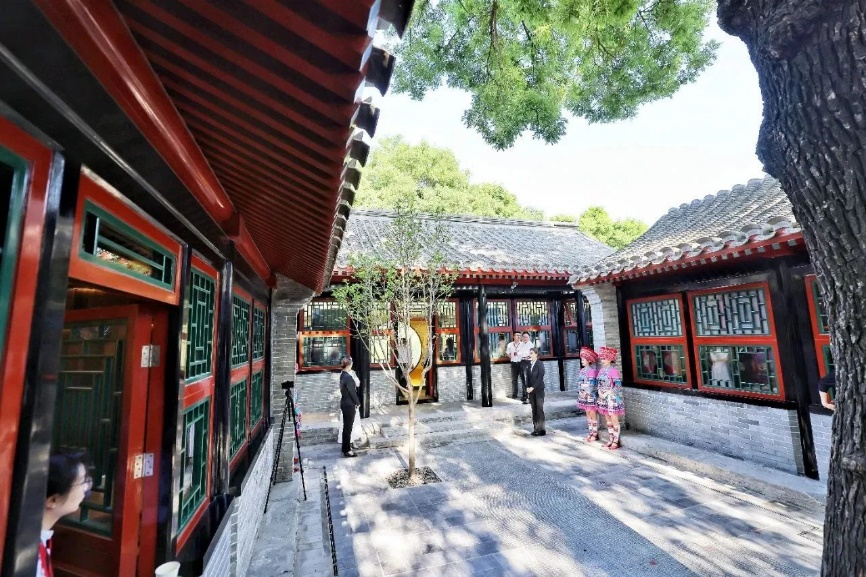 春日赠礼 | 寻找身边的城市变化