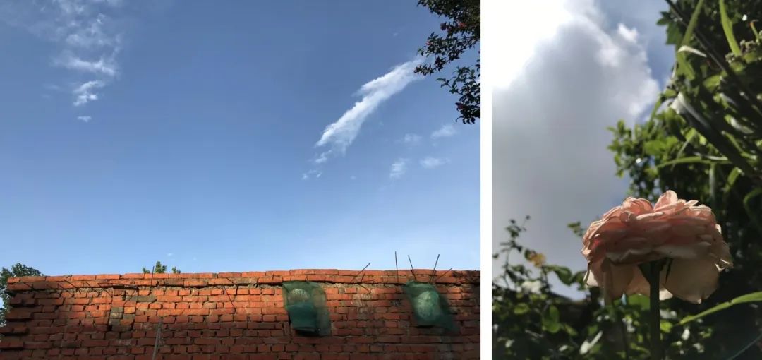 春节征集 | 农村老年人生活的正向场域——微观视角下的乡村观察 春节征集 | 农村老年人生活的正向场域——微观视角下的乡村观察