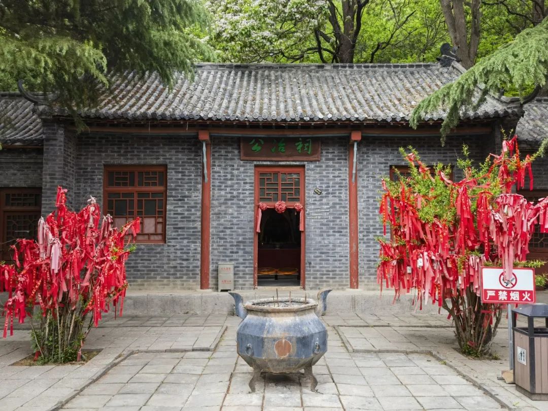 遗产视野丨齐鲁文化考察:安丘探古迹 遗产视野丨齐鲁文化考察:安丘探古迹