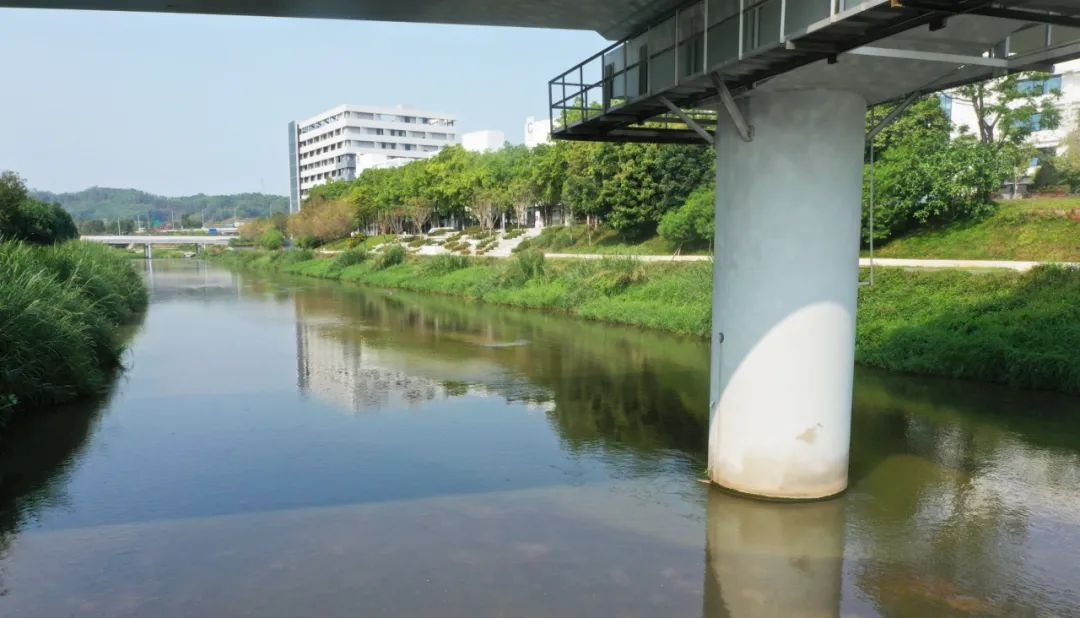 住房城乡建设部第一批城市更新典型案例推介Ⅶ——城市生态修复类 住房城乡建设部第一批城市更新典型案例推介Ⅶ——城市生态修复类