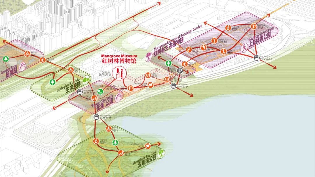 深圳红树林湿地博物馆