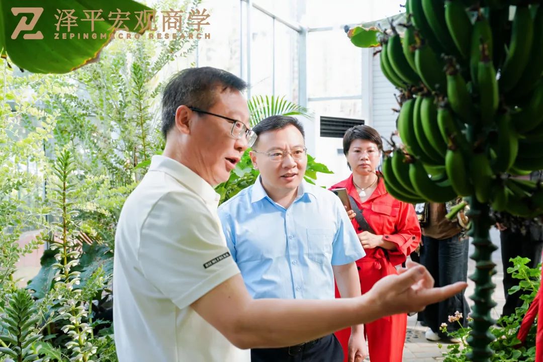好的教育是什么？如何打造内驱力？——访衡水中学、六个核桃