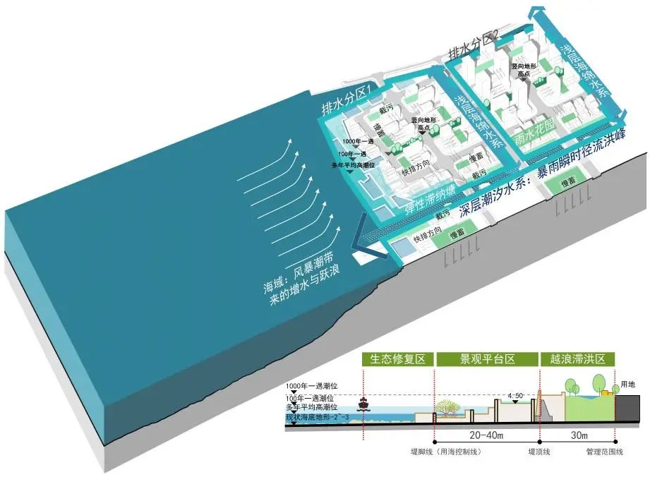 海洋新城:海岸带安全韧性空间设计实践探索 海洋新城:海岸带安全韧性空间设计实践探索