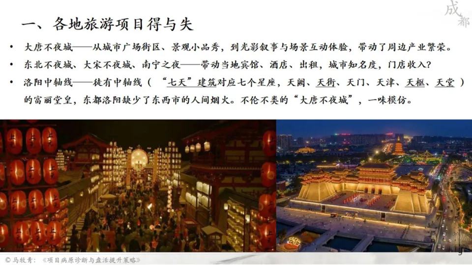 马牧青：项目成败得失与盘活提升策略