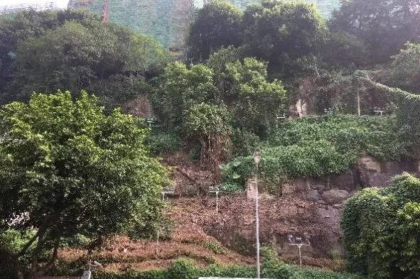 住房城乡建设部第一批城市更新典型案例推介IV——活力街区打造类 住房城乡建设部第一批城市更新典型案例推介IV——活力街区打造类