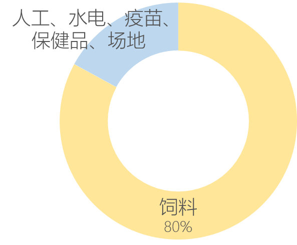 【农贸市场】小猪的一生:从猪圈到餐桌 【农贸市场】小猪的一生:从猪圈到餐桌