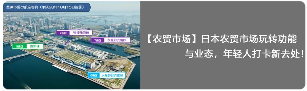 【农贸市场】小猪的一生:从猪圈到餐桌 【农贸市场】小猪的一生:从猪圈到餐桌