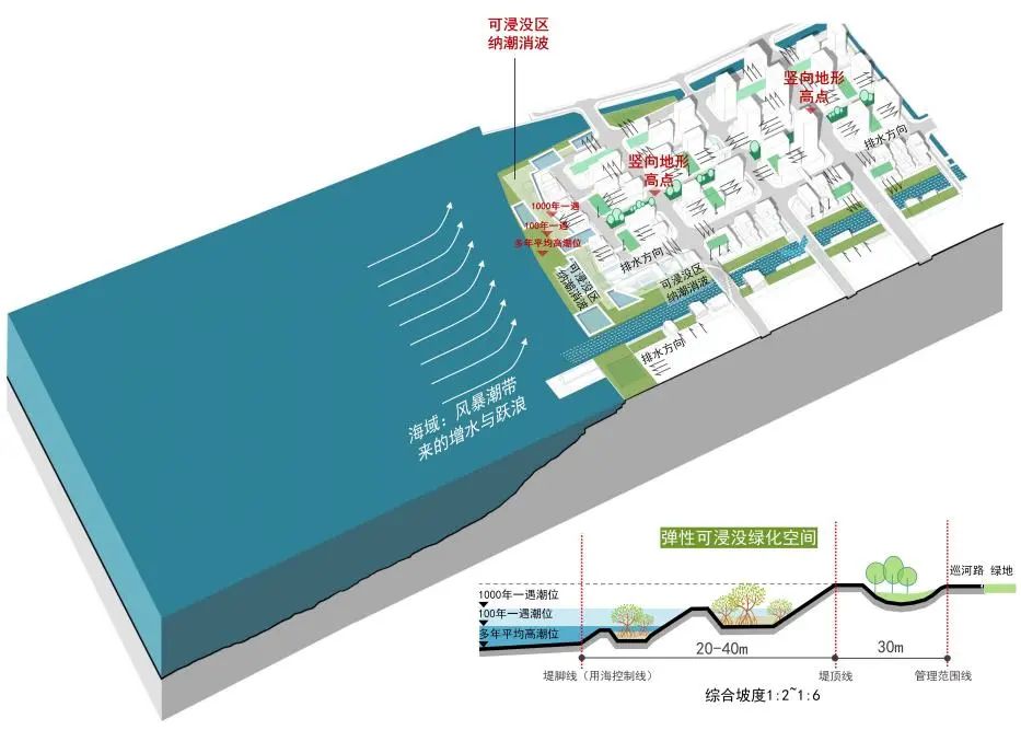 海洋新城:海岸带安全韧性空间设计实践探索 海洋新城:海岸带安全韧性空间设计实践探索
