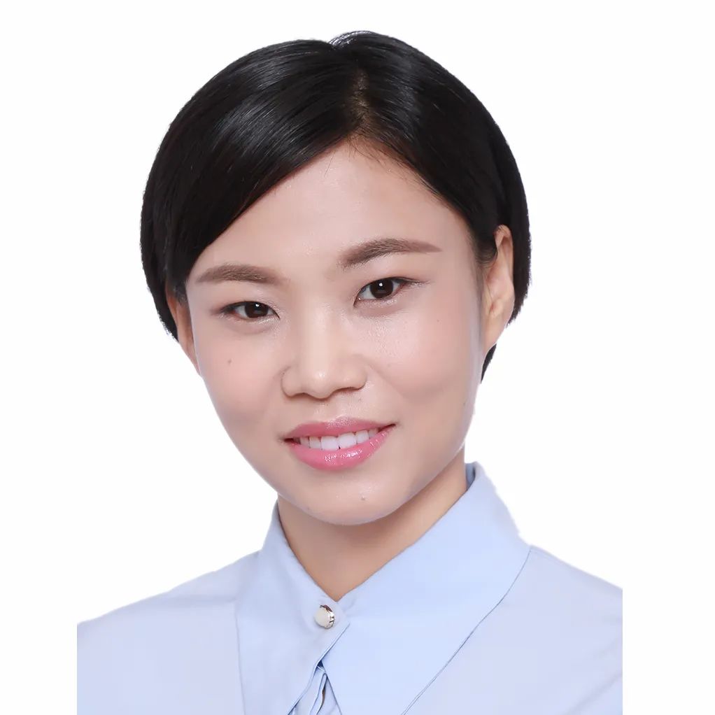 崔文博 | 基于国土空间规划体系的综合交通规划适应性改革：以北京市朝阳区为例