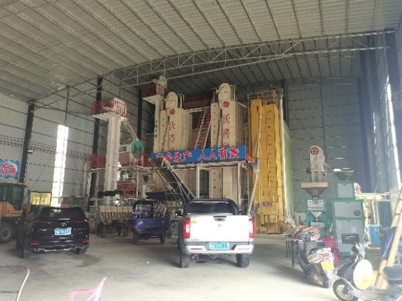 【农贸市场】大米的归宿:从稻田到餐桌 【农贸市场】大米的归宿:从稻田到餐桌