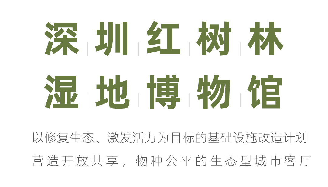深圳红树林湿地博物馆