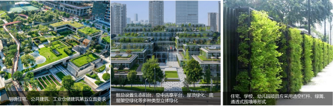 重磅丨二十年深耕不辍，“红皮书”上新啦！