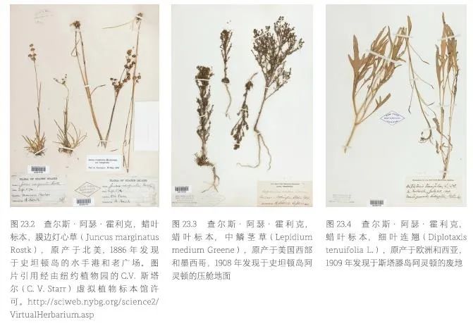 鉴书堂 | 《设计结合自然——刻不容缓》 鉴书堂 | 《设计结合自然——刻不容缓》