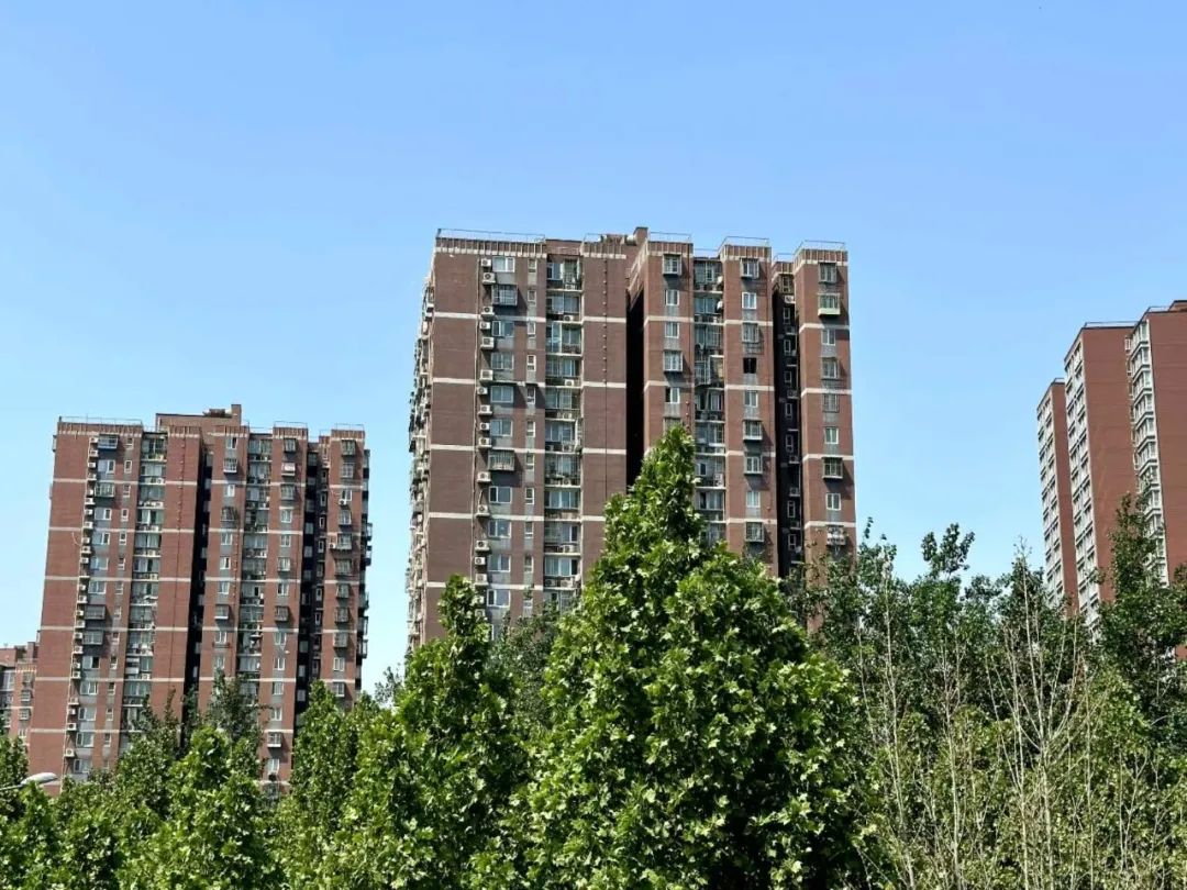 不动产登记行为，能否作为判断当事人真实意思表示的依据？ | 以案说法