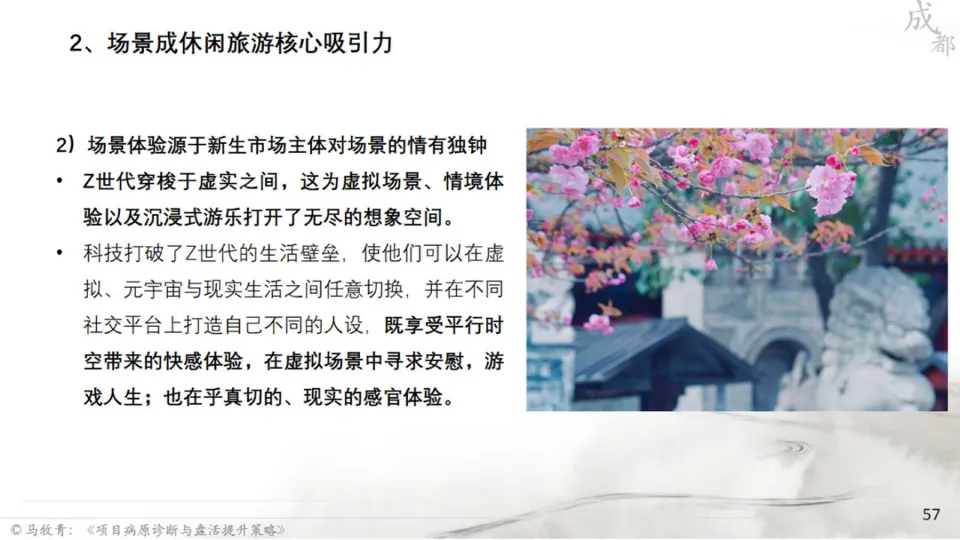 马牧青：项目成败得失与盘活提升策略
