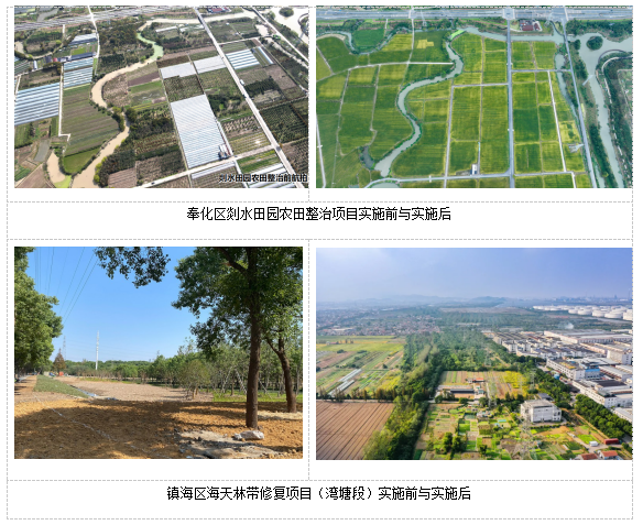 村庄规划 | 融合全域土地综合整治政策 推进村庄规划实效提升的宁波探索