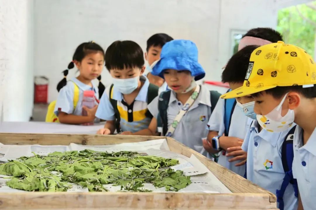 六一快乐!这可能是规划师送给孩子们的最好礼物 六一快乐!这可能是规划师送给孩子们的最好礼物