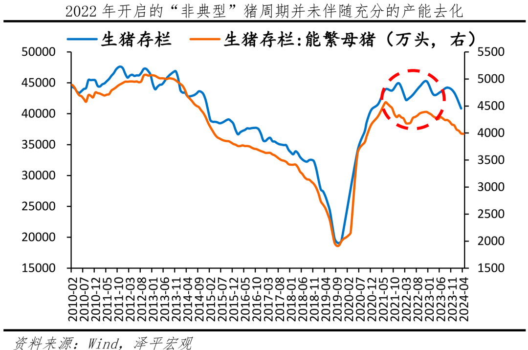 新一轮猪周期来了吗? 新一轮猪周期来了吗?