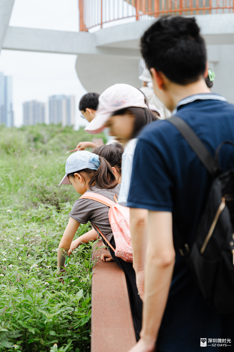 深圳最“难进”公园，每月限20人，很荒很野