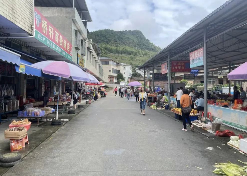 【农贸市场】蔬菜的旅途:一棵菜的流通秘密 【农贸市场】蔬菜的旅途:一棵菜的流通秘密