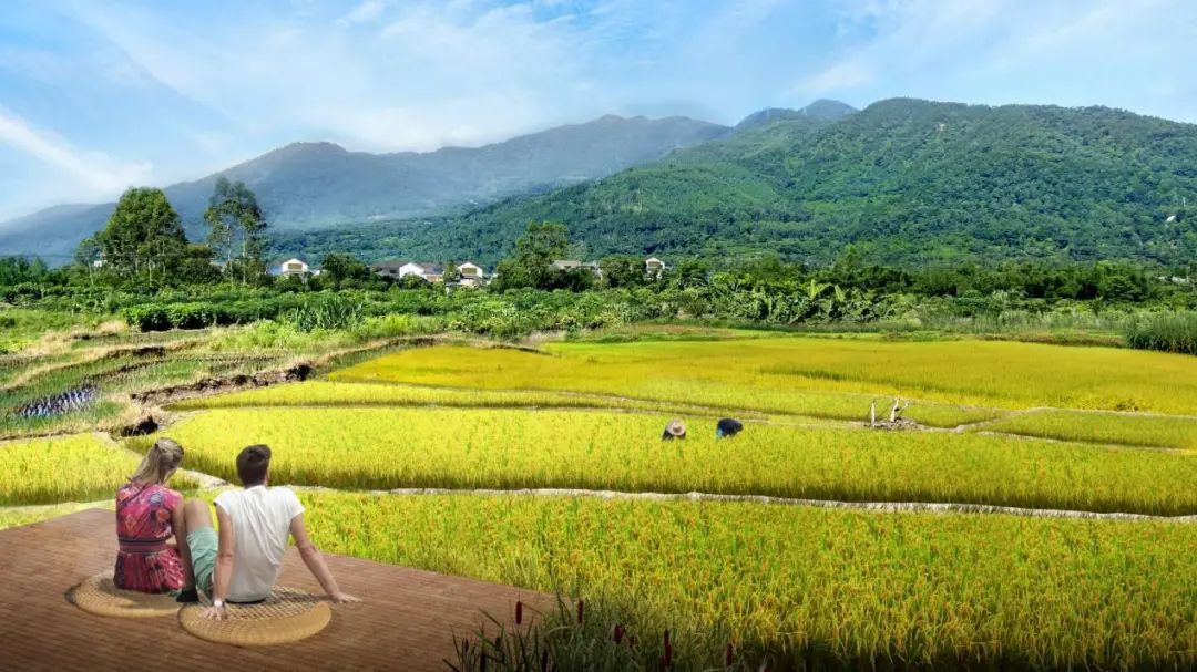 百千万工程④|山水禅意径、诗画古村带——六祖故里打造乡村振兴示范带的实践 百千万工程④|山水禅意径、诗画古村带——六祖故里打造乡村振兴示范带的实践