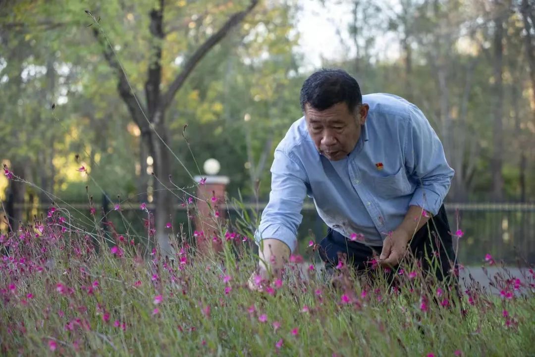 一草一木赤子心——记山东省聊城市茌平区国有广平林场党支部书记、场长王吉贵