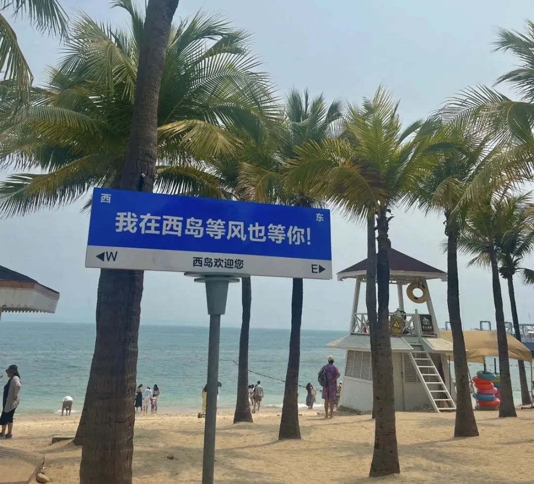 他们，在三亚海底“种树”