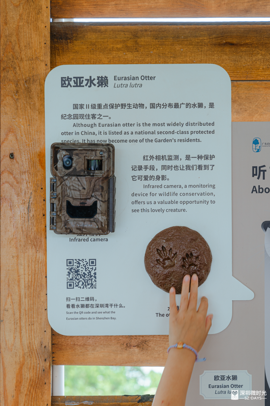 深圳最“难进”公园，每月限20人，很荒很野