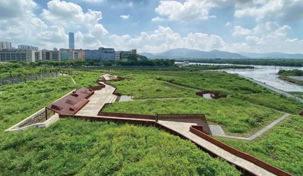 深圳最“难进”公园，每月限20人，很荒很野