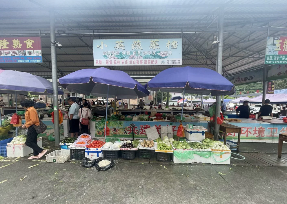 【农贸市场】蔬菜的旅途:一棵菜的流通秘密 【农贸市场】蔬菜的旅途:一棵菜的流通秘密